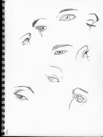 Eye Studies2
