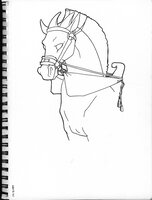 Horned Horse
