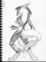 Zafiil In Motion