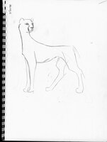 Keshidi