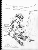 Cheetah Girl On A Slope