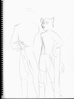 Two Wolves
