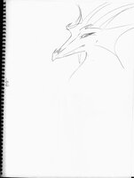 Streamlined Dragon Face