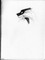 Faulfenzair Profile