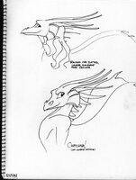 Chatcaava Heads
