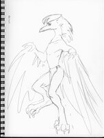 Prancing Phoenix