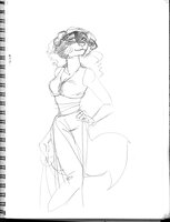 Geva The Skunk