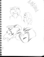 Kane Furry