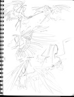 Angel Wing Montage