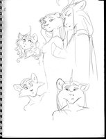 Argent Star and Distant Song Conspiring
