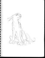 Jokka Eightclaws