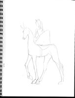 Ai Naidar Saddle