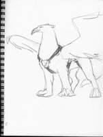 Great Griffin