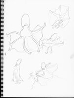 Octopi Design