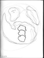 More Genesis Mapping