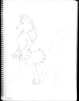 Jingle Taur