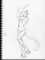 Catdance