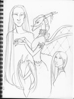 Wingless Novella Development