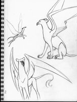 Sleek Small Griffins