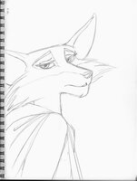 Jesan Vixen
