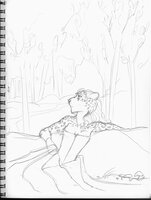 Relaxing In The Forest