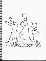 Unconvincing Rabbits