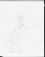 Healer And Wild One In The Forest