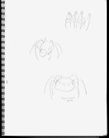 Flying Saucer Spider
