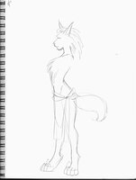 Lynxish Thing