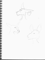 Iterating