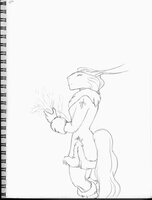 Jokkad In Furs