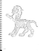 Tiger Taur Female