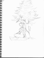 Meditating Under The Fir