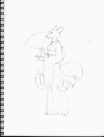 Kitsune Fane