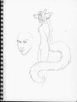 Genet Tail