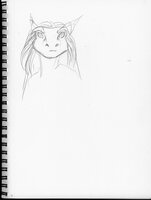 Attempt At Modeling