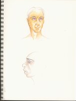 Shaded Pencils