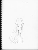 Failed Deer