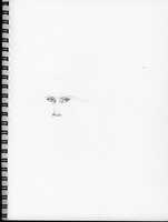 The Eyes