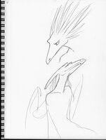 More Dragon