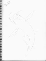 The Power Of Shark