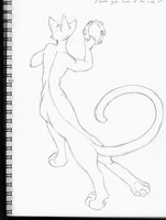Ciracaana With Tamborine