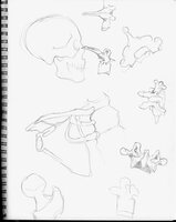 Many Bones