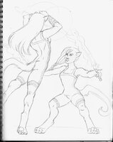 Two Shields Sparring