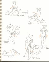 Pelvic Stretches1