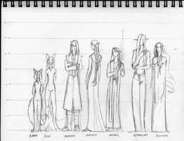 Heir Height Chart