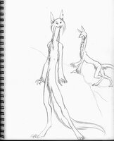 Weird Long Critter3