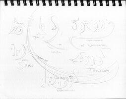 Plan For The Voice Calligraphy
