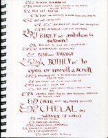 Dictionary Biden To Chet