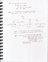 Qevellen Family Trees